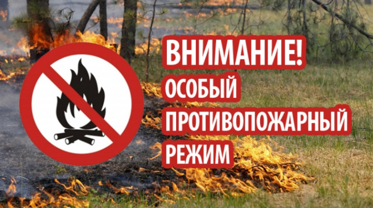 С 14 апреля распоряжением Правительства Новгородской области на территории области вводится особый противопожарный режим. С 14 апреля распоряжением Правительства Новгородской области на территории области вводится особый противопожарный режим.