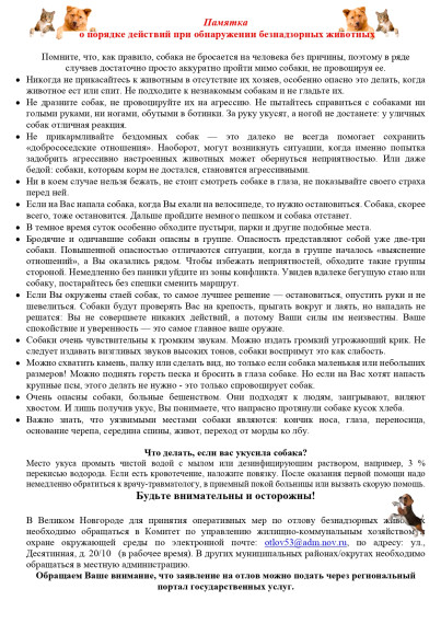 Памятка о действиях при встрече с безнадзорными животными.. Памятка о действиях при встрече с безнадзорными животными..